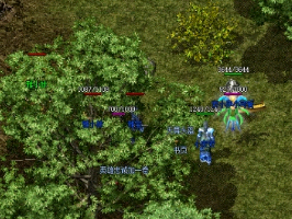 在野外受到袭击的时候我们应该怎么逃开