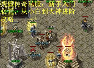搜狐传奇私服:新手入门必看,从小白到大神进阶攻略 搜狐传奇私服:新手入门必看,从小白到大神进阶攻略