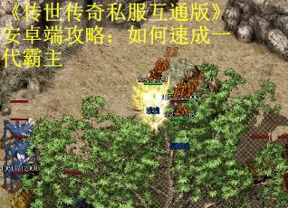 《传世传奇私服互通版》安卓端攻略：如何速成一代霸主