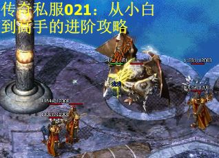 传奇私服021：从小白到高手的进阶攻略
