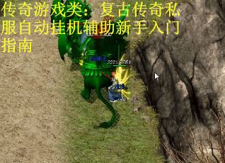 传奇游戏类：复古传奇私服自动挂机辅助新手入门指南
