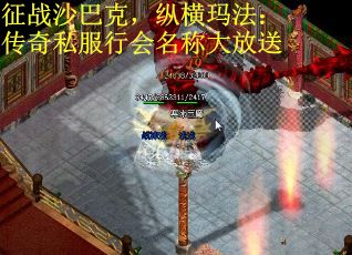 征战沙巴克，纵横玛法：传奇私服行会名称大放送