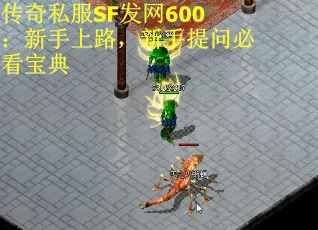 传奇私服SF发网600：新手上路，新手提问必看宝典