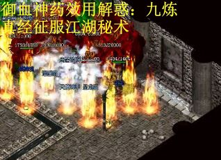 御血神药效用解惑：九炼真经征服江湖秘术