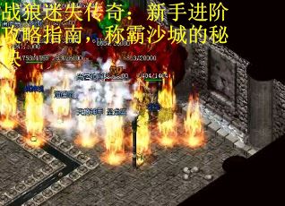 战狼迷失传奇：新手进阶攻略指南，称霸沙城的秘诀