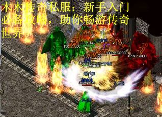 木木传奇私服：新手入门必备攻略，助你畅游传奇世界