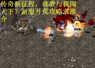 传奇新征程，谁敢与我闯天下？新服开荒攻略求推介