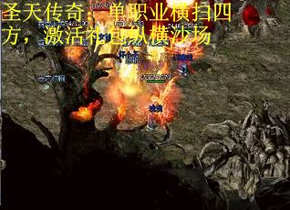 圣天传奇：单职业横扫四方，激活礼包纵横沙场