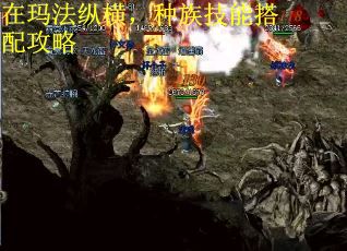 在玛法纵横，种族技能搭配攻略