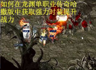 如何在龙渊单职业传奇哈撒版中获取强力时装提升战力