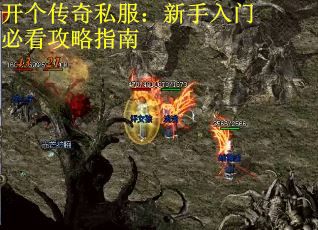开个传奇私服：新手入门必看攻略指南