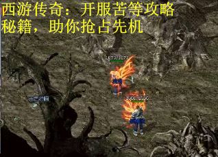 西游传奇：开服苦等攻略秘籍，助你抢占先机