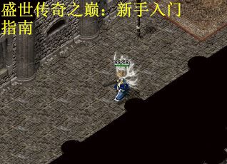 盛世传奇之巅：新手入门指南