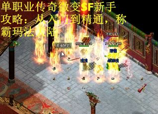单职业传奇微变SF新手攻略：从入门到精通，称霸玛法大陆