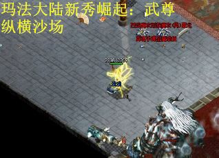 玛法大陆新秀崛起：武尊纵横沙场