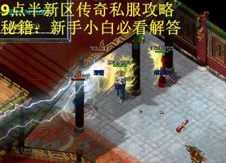 9点半新区传奇私服攻略秘籍：新手小白必看解答
