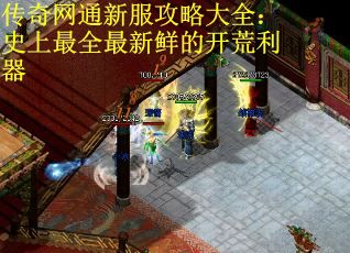 传奇网通新服攻略大全:史上最全最新鲜的开荒利器 传奇网通新服攻略大全:史上最全最新鲜的开荒利器
