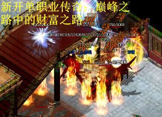 新开单职业传奇：巅峰之路中的财富之路