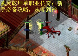 武灵乾坤单职业传奇：新手必备攻略，从零到神