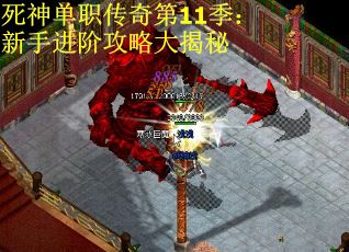 死神单职传奇第11季：新手进阶攻略大揭秘