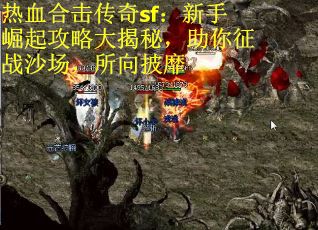 热血合击传奇sf：新手崛起攻略大揭秘，助你征战沙场，所向披靡