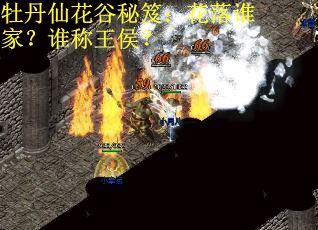 牡丹仙花谷秘笈：花落谁家？谁称王侯？