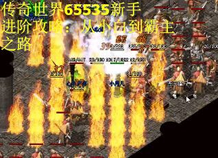 传奇世界65535新手进阶攻略：从小白到霸主之路