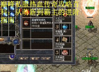 巅峰私服热血传奇攻略百科：从萌新到霸主的进阶指南