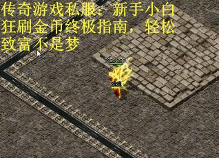 传奇游戏私服：新手小白狂刷金币终极指南，轻松致富不是梦