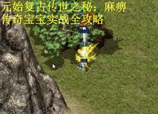 元始复古传世之秘:麻痹传奇宝宝实战全攻略 元始复古传世之秘:麻痹传奇宝宝实战全攻略