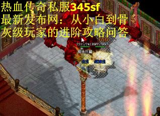 热血传奇私服345sf最新发布网：从小白到骨灰级玩家的进阶攻略问答