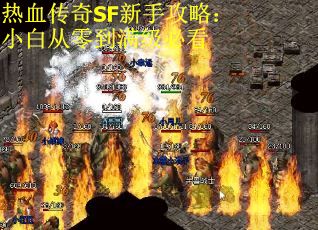 热血传奇SF新手攻略：小白从零到满级必看