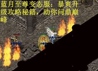蓝月至尊变态服：暴爽升级攻略秘籍，助你问鼎巅峰