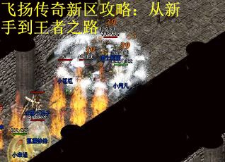 飞扬传奇新区攻略：从新手到王者之路