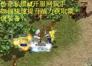 传奇私服sf开服网新手如何快速提升战力获取顶级装备？