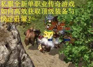 私服全新单职业传奇游戏如何高效获取顶级装备与快速升级？