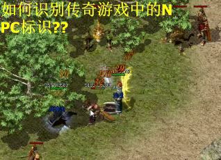 如何识别传奇游戏中的NPC标识??