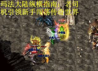 玛法大陆纵横指南：老司机引领新手闯荡传奇世界
