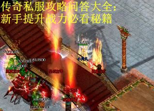传奇私服攻略问答大全：新手提升战力必看秘籍
