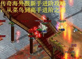 传奇海外服新手进阶攻略：从菜鸟到高手进阶之路
