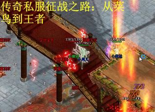 传奇私服征战之路:从菜鸟到王者 传奇私服征战之路:从菜鸟到王者