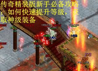 传奇精装版新手必备攻略：如何快速提升等级，获取神级装备
