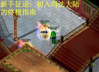 新手征途：初入玛法大陆的终极指南