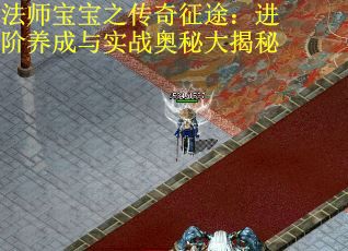 法师宝宝之传奇征途：进阶养成与实战奥秘大揭秘