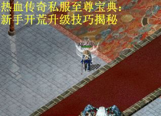 热血传奇私服至尊宝典：新手开荒升级技巧揭秘