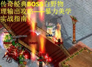 传奇经典BOSS白野物理输出攻略——暴力美学实战指南