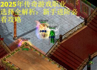2025年传奇游戏职业选择全解析：新手进阶必看攻略