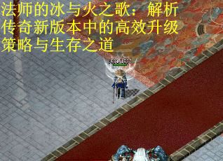 法师的冰与火之歌：解析传奇新版本中的高效升级策略与生存之道