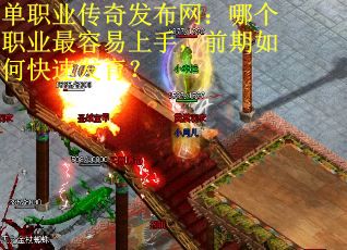 单职业传奇发布网：哪个职业最容易上手，前期如何快速发育？