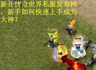 新开传奇世界私服发布网，新手如何快速上手成为大神？